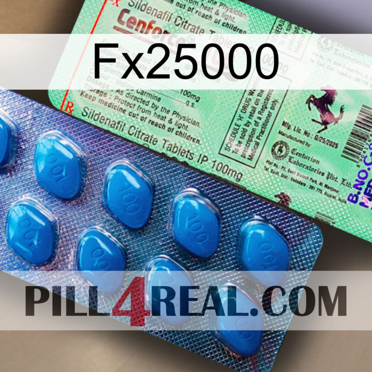 Fx25000 new02